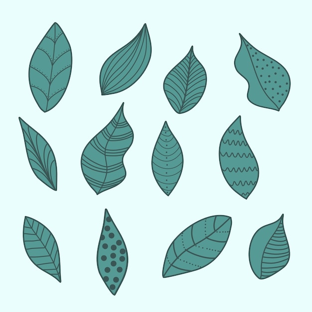 leaves vector collection clipart