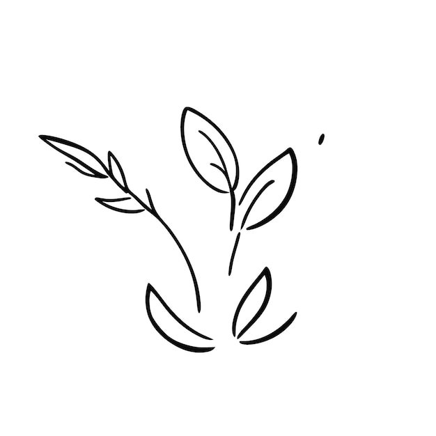 leaves vector illustration doodle line art