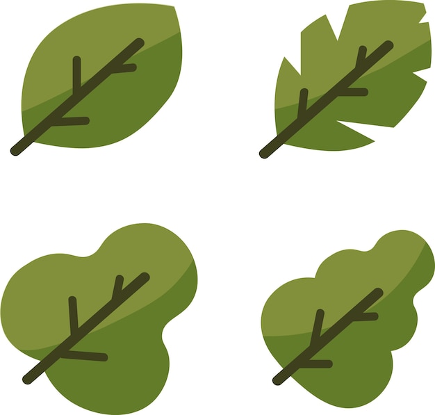 leaves vector