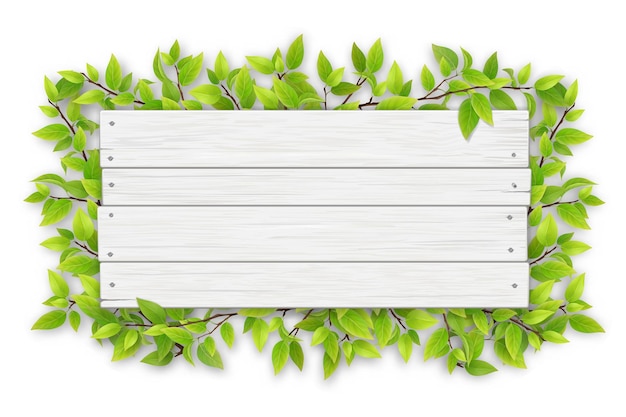 Leeg wit houten bord met ruimte voor tekst op een achtergrond van boomtakken met groene bladeren