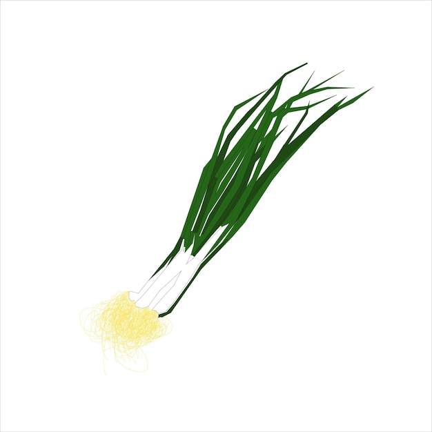 Vector leek onion young green leaf vector flat design graphic illustration 2d hd