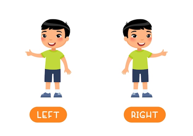 Vector left and right antonyms word card vector template