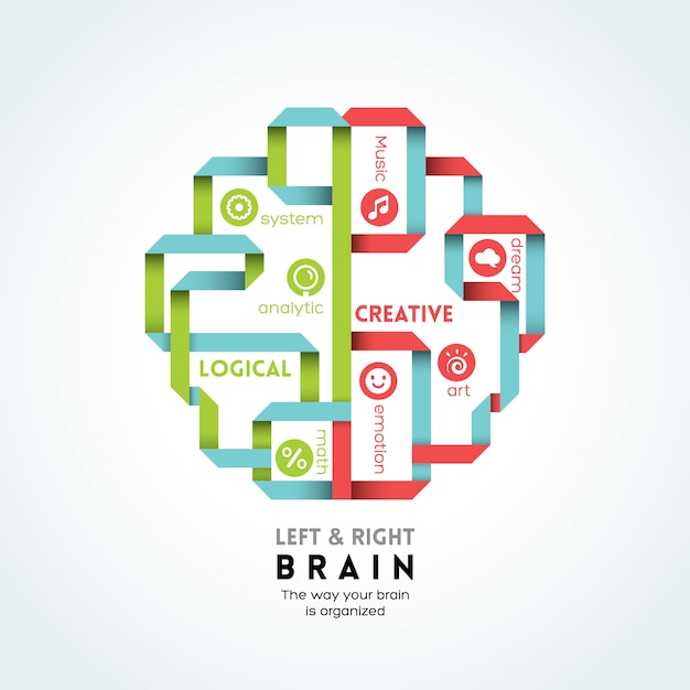 Left and right brain function illustration