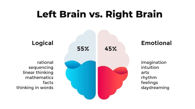 Left and right hemispheres of human brain Logical vs emotional thinking Creative infographic