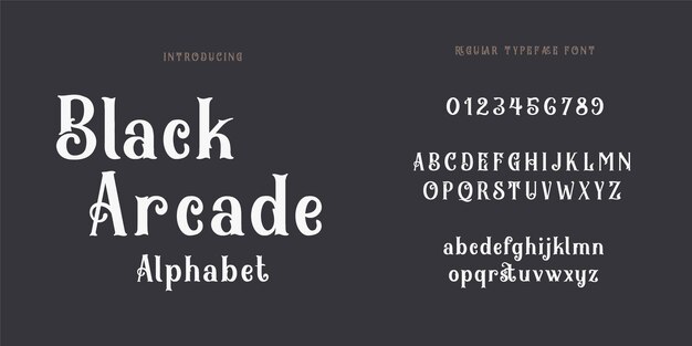 legant and modern serif alphabet letters font and number modern fonts vintage