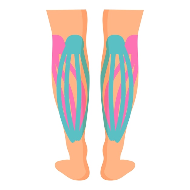 legs muscle kinesio icon cartoon vector sport tape