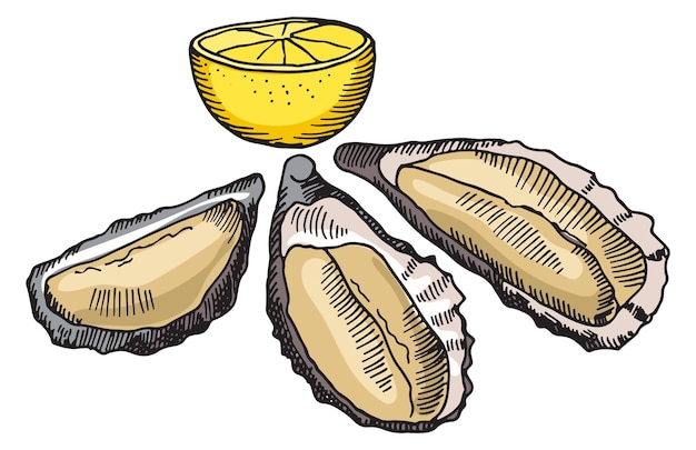 Vector lekkere oesters schotel illustratie zeevruchten restaurant tekening