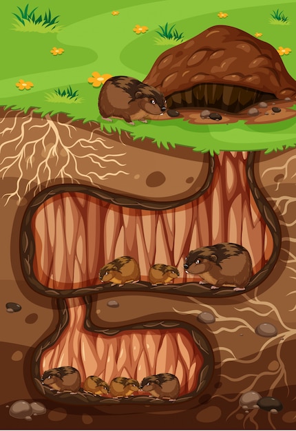 A Lemming Family Living Underground