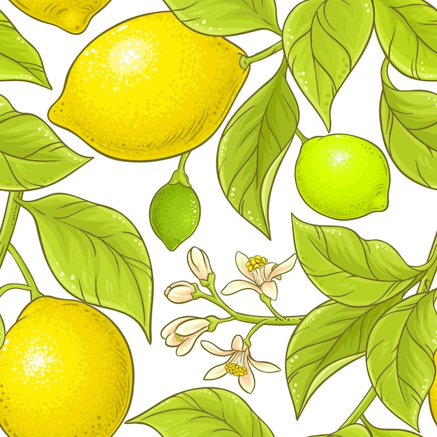 Lemon branch vector pattern