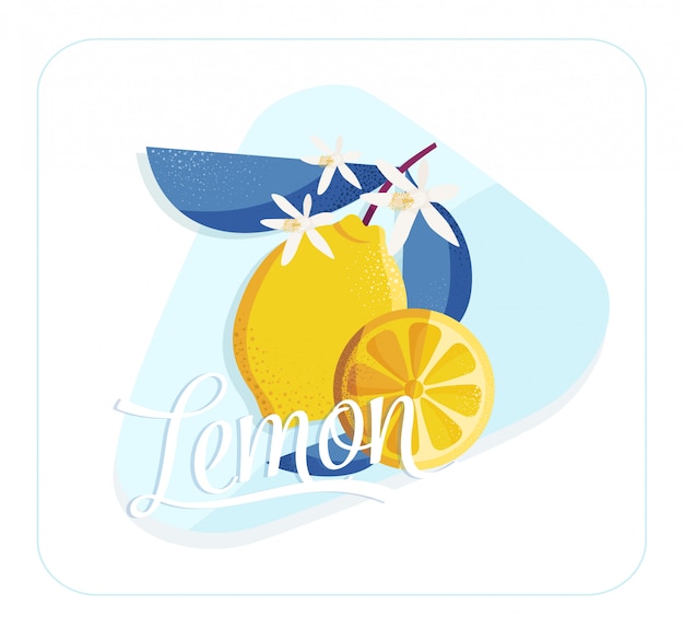 Vector lemon design element