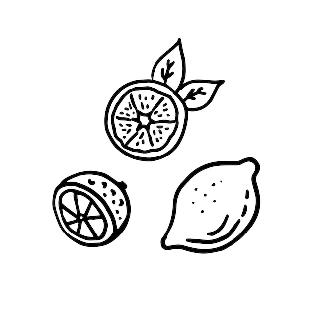 Lemon doodle illustrations set in vector Hand drawn lemon illustrations collection in vector