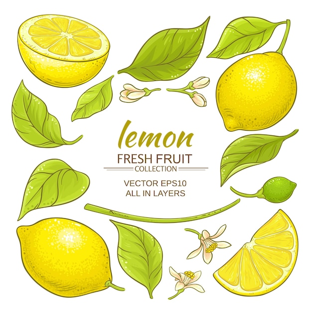 Набор лимонных элементов
