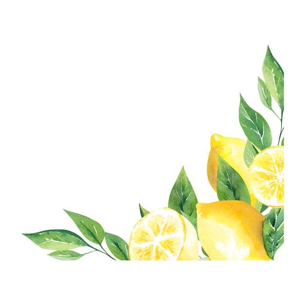 Vector lemon frame