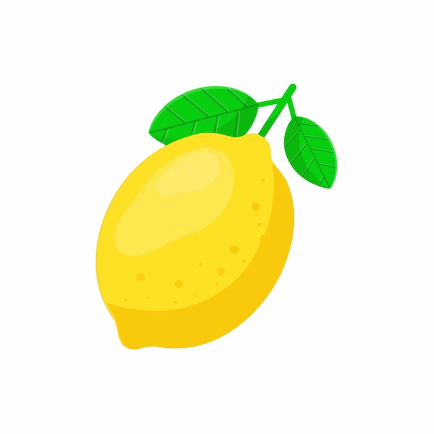 Lemon fruit graphic vector colorful item