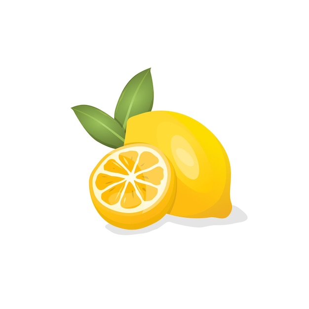 Lemon fruit illustration