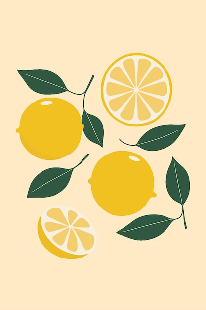 Vector lemon fruit lemon slice hand drawn flat vector illustration background