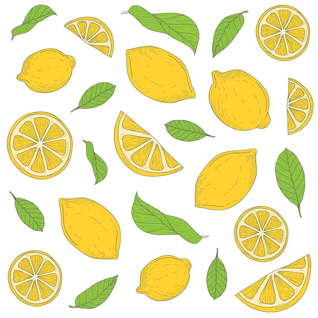 Premium Vector | Lemon fruit patterns hand drawn