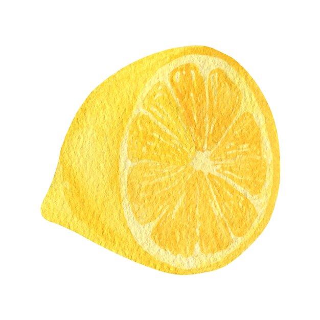 Lemon fruit slice watercolor clipart Illustration of fresh lemon