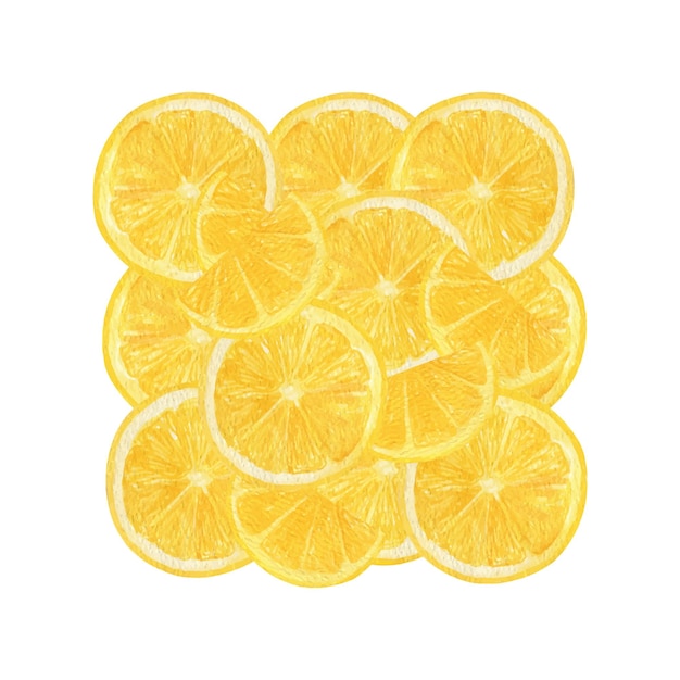 Lemon fruit slices watercolor print illustration