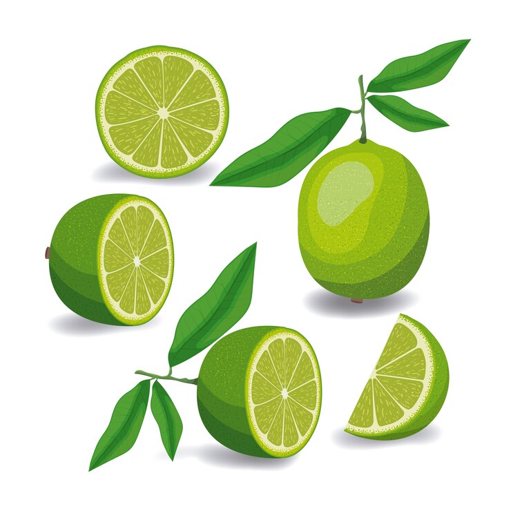 Vector lemon fruit whole and sliced in colorful silhouette
