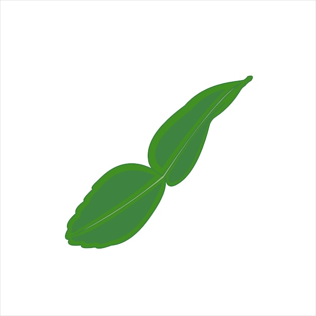 Lemon green leaf vector flat design graphic illustration 2d hd