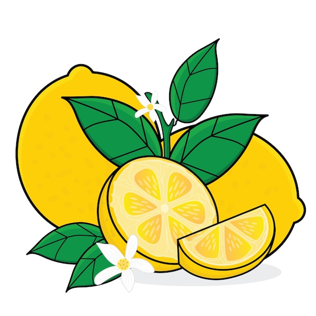 Lemon lemon cartoon icon vector design illustration wallpaperlemon with leaf yellow lemon