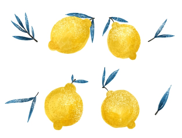 Lemon set of lemon clipart on a white background Fresh lemons print Minimalism lemon citrus fruits