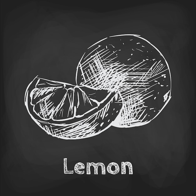 Lemon sketch illustration hand drawn design usage element