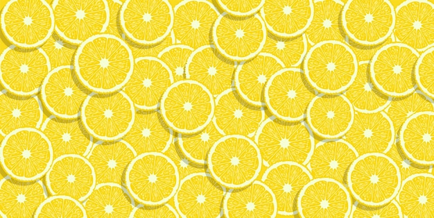 Vector lemon slice background