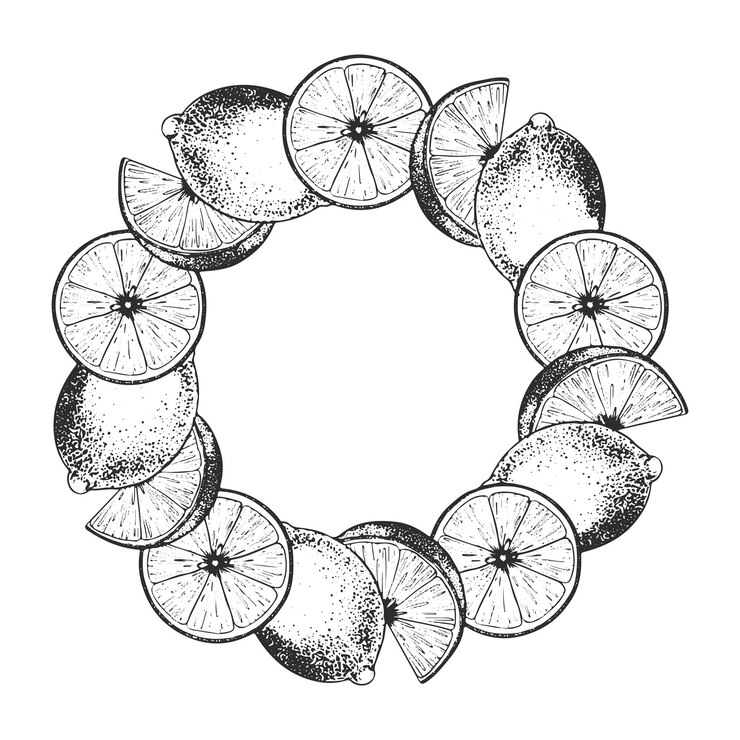 Vector lemon slice fruits sketch vector illustration of frame of lime black ink outline of citrus isolated hand drawn on white background design for menu package cosmetic textile cards