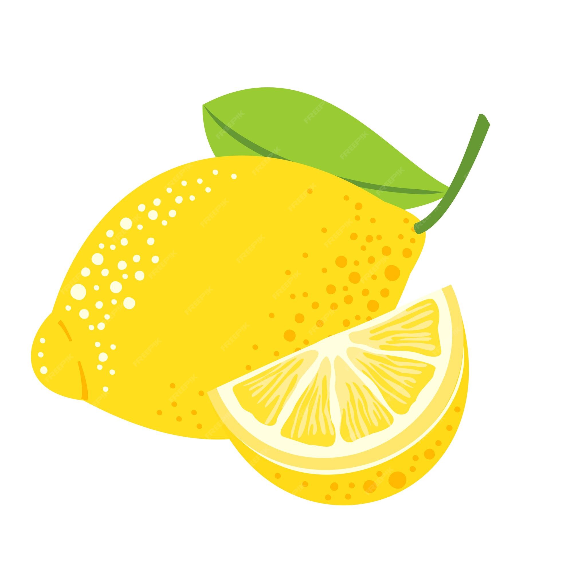Premium Vector | Lemon slice leaf