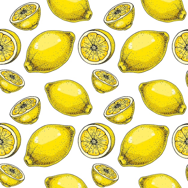 Lemon slice seamless pattern Colorful hand drawn vector illustration in sketch style