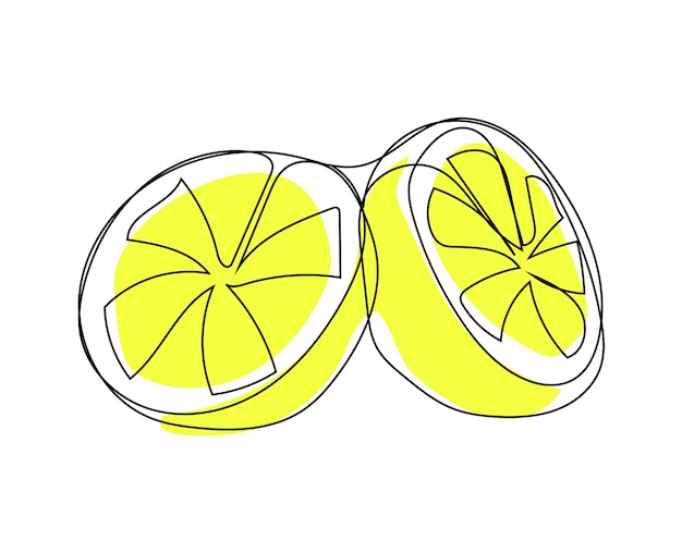 Lemon slices Continuous one line drawing