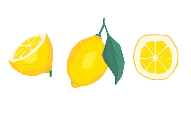 레몬 조각 신선한 감귤류의 반 얇게 썬 레몬과 다진 레몬 레몬 과일 조각과 레모네이드 주스에 대한 풍미를 잘라 흰색 배경에 고립 된 만화 벡터 일러스트 레이 션