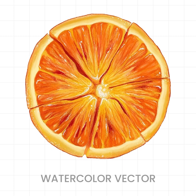 벡터 흰색 바탕에 수채색으로 칠해진 레몬 조각