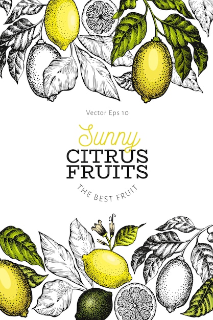 Lemon tree background template