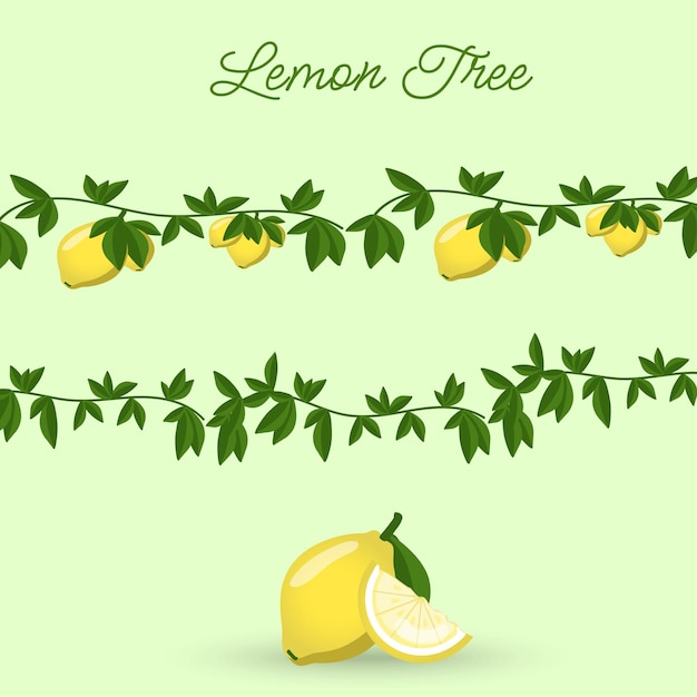 Lemon tree leaves in vector