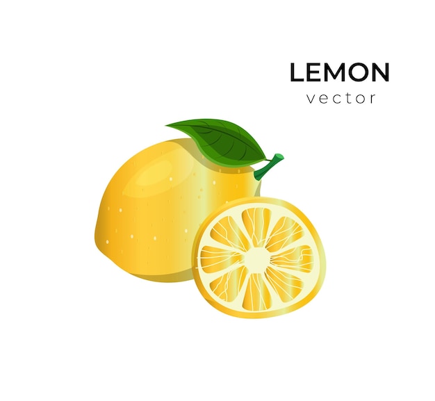 Lemon vector design