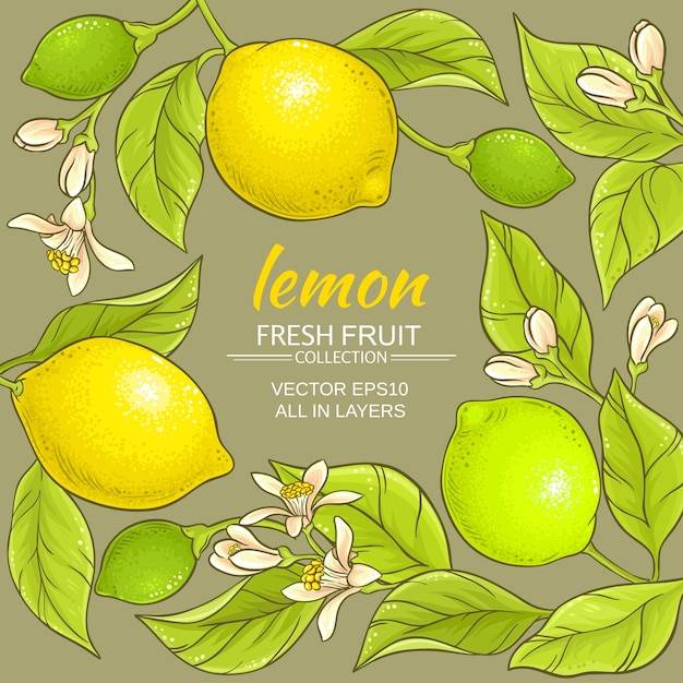 Lemon vector frame