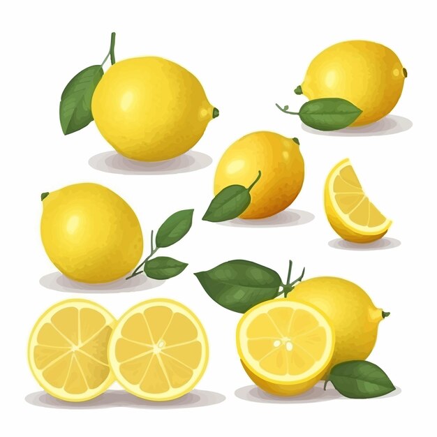 Vector lemon vector graphics with a floral design