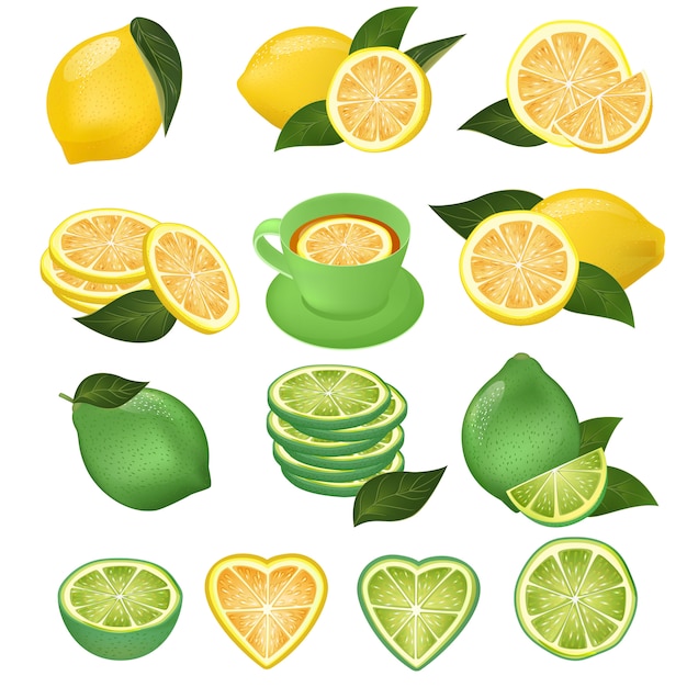 Lemon vector green lime and lemony sliced yellow citrus fruit and fresh juicy lemonade illustration natural