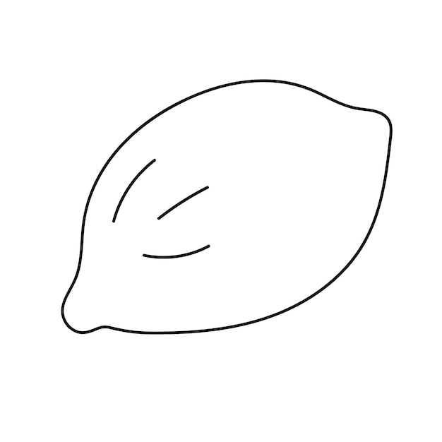 Vettore illustrazione di lemon vector in stile doodle