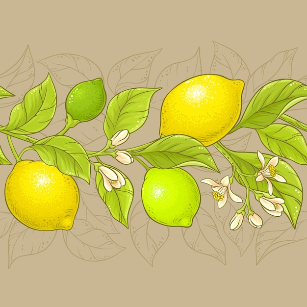 Lemon vector pattern