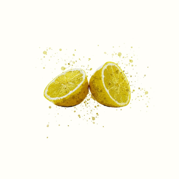 Vector lemon water colour