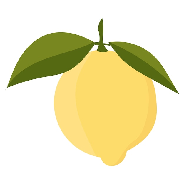 Lemon with leaves minimalism Sour fresh lemon fruit