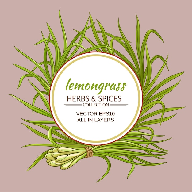 Vector lemongrass vector frame