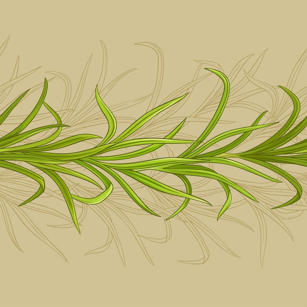 Lemongrass vector pattern