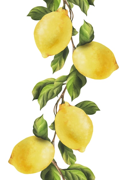 lemons are yellow juicy ripe with green leaves on the branches whole watercolor hand drawn botanical