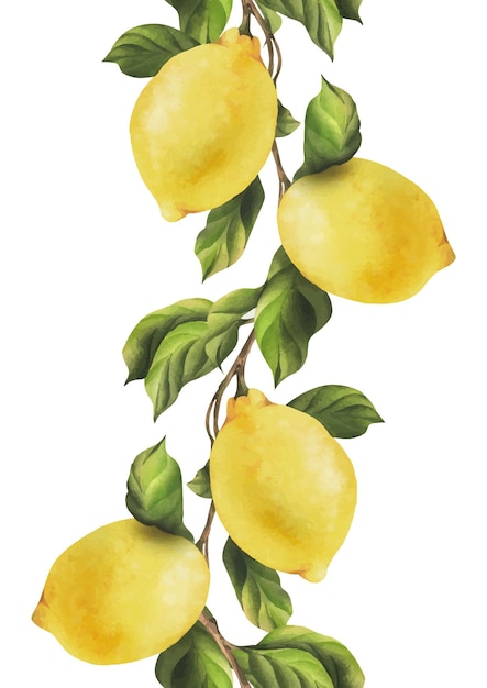 Lemons are yellow juicy ripe with green leaves on the branches whole watercolor hand drawn botanical