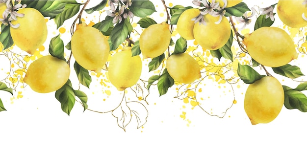 lemons are yellow juicy ripe with green leaves flower buds on the branches whole watercolor hand